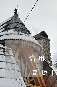 信用卡恶意透支短信骗局(信用卡恶意透支诈骗短信)
