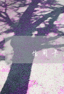 信用卡恶意透支立案地