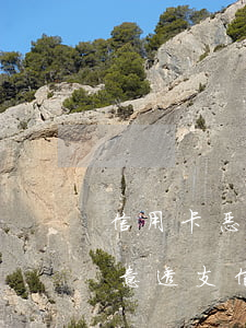 信用卡恶意透支额度是什么(什么情况下是恶意透支信用卡)