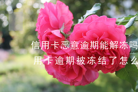 信用卡恶意逾期能解冻吗(请问银行卡因为信用卡逾期被冻结了怎么办)