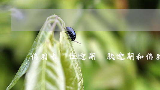信用卡惡性逾期(貸款逾期和信用卡逾期)