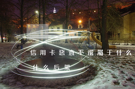 信用卡惡意不還屬于什么罪(惡意欠信用卡有什么后果)