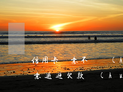 信用卡惡意不還會(huì)怎樣(信用卡惡意逃避欠款會(huì)怎么樣)