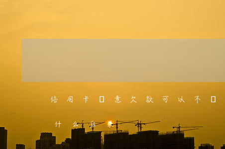 信用卡惡意欠款可以不還(惡意不還信用卡有什么后果)
