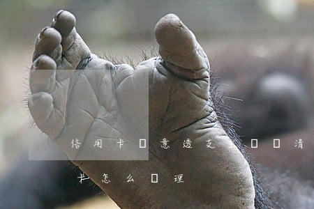 信用卡惡意透支主動還清(惡意透支他人信用卡怎么處理)