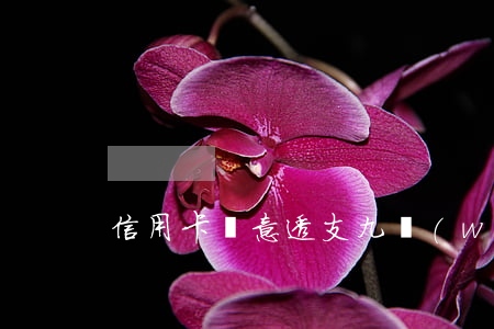 信用卡惡意透支九萬(wàn)判決書