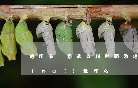 信用卡惡意透支判刑原因(信用卡惡意透支會(huì)坐牢么)
