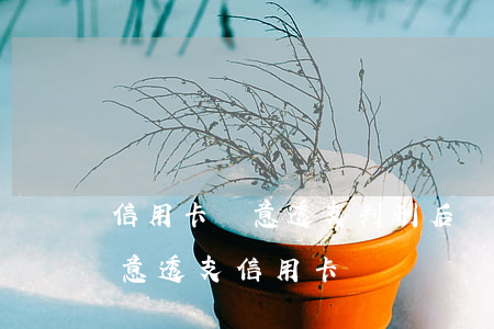 信用卡惡意透支判刑后債務(wù)(刑法惡意透支信用卡)