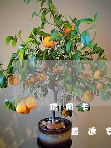 信用卡惡意透支卡被停(信用卡一旦逾期就是惡意透支)