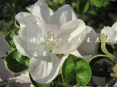信用卡惡意透支危害大(銀行信用卡惡意透支后果)