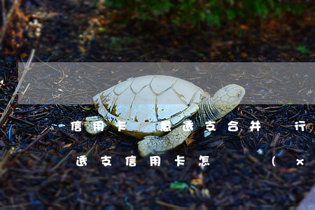 信用卡惡意透支合并銀行嗎(被銀行起訴惡意透支信用卡怎樣協(xié)商)