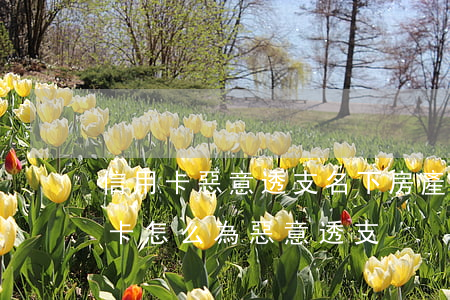 信用卡惡意透支名下房產(chǎn)(信用卡怎么為惡意透支)
