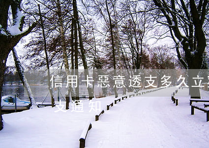 信用卡惡意透支多久立案(信用卡收到惡意透支通知)