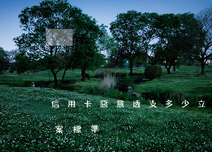 信用卡惡意透支多少立案(信用卡惡意透支立案標準)