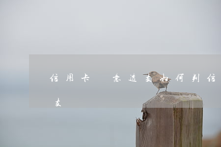 信用卡惡意透支如何判(信用卡什么叫惡意透支)