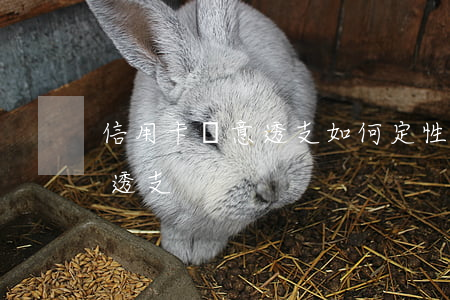 信用卡惡意透支如何定性(何為信用卡的惡意透支)
