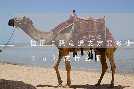 信用卡惡意透支定罪多少(信用卡透支構(gòu)成什么罪)