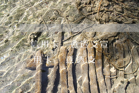 信用卡惡意透支宣傳單(發(fā)短信說信用卡惡意透支)