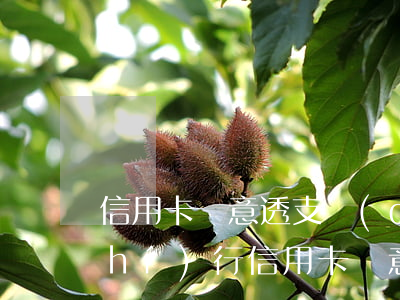 信用卡惡意透支強(qiáng)制執(zhí)行(信用卡惡意透支的法律規(guī)定)