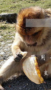 信用卡惡意透支怎么處罰(什么情況算是惡意透支信用卡)