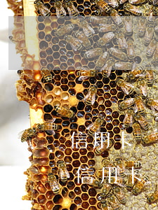 信用卡惡意透支收到通知函(發(fā)短信信用卡惡意透支)