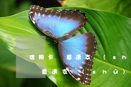 信用卡惡意透支數(shù)額較大(信用卡惡意透支數(shù)額較大標(biāo)準(zhǔn))