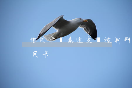 信用卡惡意透支會被判刑嘛(刑法惡意透支信用卡)