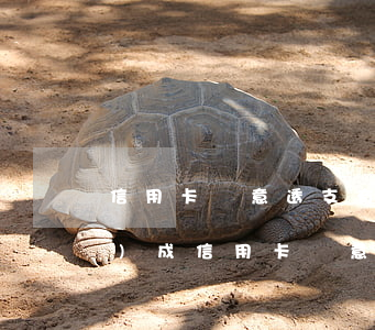 信用卡惡意透支有哪些罪(怎樣才構(gòu)成信用卡惡意透支罪)