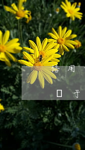 信用卡惡意透支有幾個(gè)條件(怎么樣屬于惡意透支信用卡)
