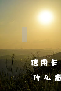信用卡惡意透支本金的定義(信用卡惡意透支什么意思)