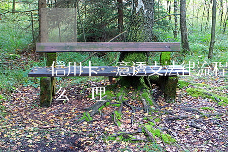 信用卡惡意透支法律流程(信用卡惡意透支怎么處理)