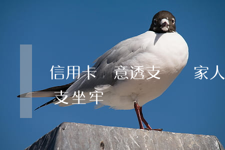 信用卡惡意透支牽連家人嗎(欠信用卡惡意透支坐牢嗎)