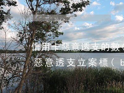 信用卡惡意透支的數(shù)額是(信用卡惡意透支立案標(biāo)準(zhǔn)是多少)