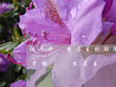 信用卡惡意透支的期限(信用卡透支金額多少才能屬惡意透支)