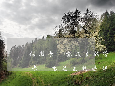 信用卡惡意透支的管轄權(quán)(信用卡惡意透支的法律規(guī)定)