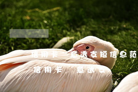 信用卡惡意透支短信息范文(發(fā)短信信用卡惡意透支)