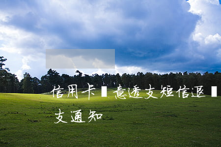 信用卡惡意透支短信退訂(信用卡收到惡意透支通知)