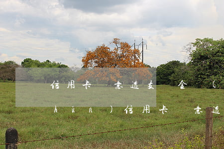 信用卡惡意透支罰金標(biāo)準(zhǔn)(信用卡惡意透支立案標(biāo)準(zhǔn))