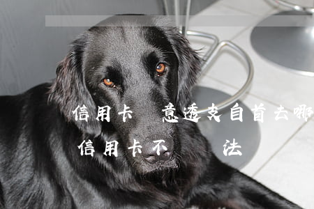 信用卡惡意透支自首去哪里(惡意透支別人的信用卡不還違法嗎)