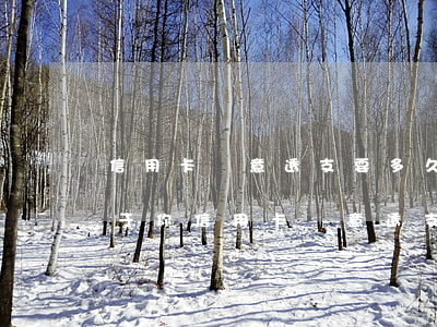 信用卡惡意透支要多久立案(關(guān)于你信用卡惡意透支一案)