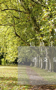 信用卡惡意透支起訴書范文(被銀行起訴惡意透支信用卡怎么處理)