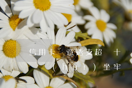 信用卡惡意透支超過十萬(信用卡惡意透支兩萬會(huì)坐牢嗎)