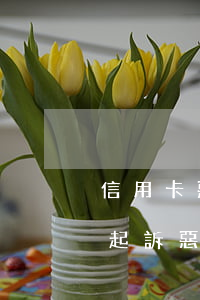 信用卡惡意透支銀行的責(zé)任(被銀行起訴惡意透支信用卡怎么處理)