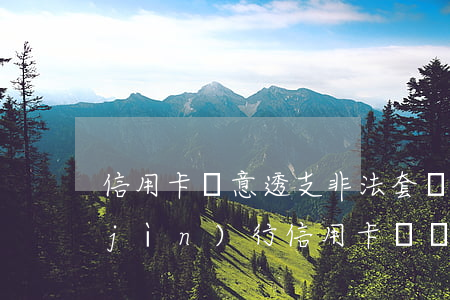 信用卡惡意透支非法套現(xiàn)(進(jìn)行信用卡詐騙活動(dòng),惡意透支)