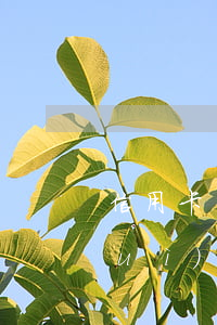信用卡惡意逾期3千(3千信用卡逾期會(huì)坐牢嗎)