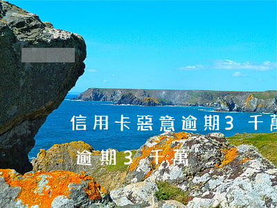 信用卡惡意逾期3千萬怎么處理（信用卡惡意逾期3千萬）