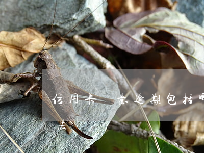 信用卡惡意逾期包括哪些(信用卡逾期屬于違法嗎)