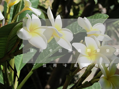 信用卡惡意逾期會坐牢嗎(因為信用卡我坐牢了信用卡逾期有哪些影響)