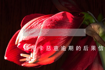 信用卡惡意逾期的后果(信用卡惡意逾期的后果)