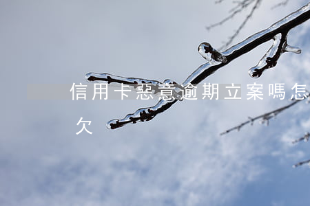信用卡惡意逾期立案嗎怎么辦(信用卡 惡意拖欠)